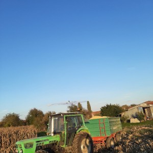 Torpedo 9006