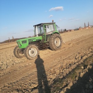 Torpedo 9006