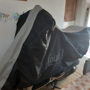 Sym 300i