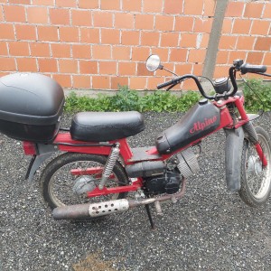 Apn 6 alpino