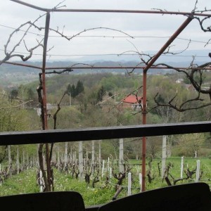 Vinograd i klijet u Zaboku, Bregi Zabočki