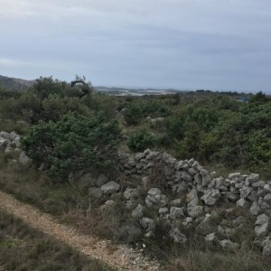 Poljoprivredno zemljište u Rogoznici