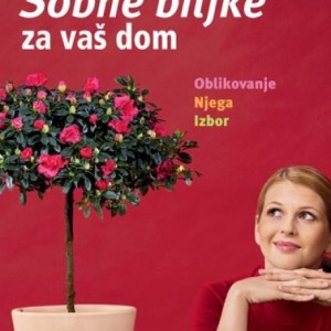 Sobne biljke za vaš dom - NOVO!