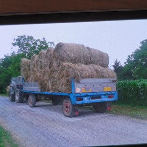 PRIKOLICA ZA BALE