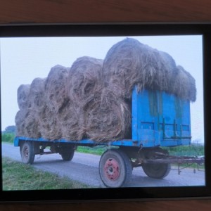 PRIKOLICA ZA BALE