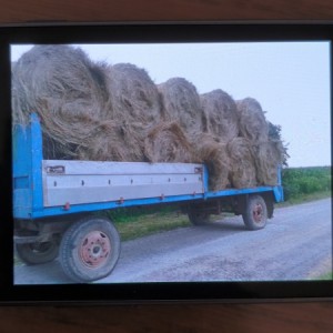 PRIKOLICA ZA BALE