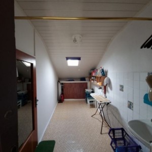 Prodaje se stan kod kastanjera