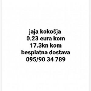 Jaja kokošja