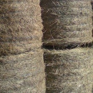 Rolo balirka Welger RP 12, 120x120, rebrasti valjci