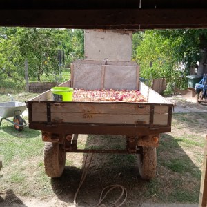 Prikolica kikinda sa orginal pločicom info na 0916038810