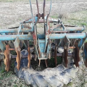 Tanjurače olt 20