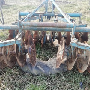 Tanjurače olt 20