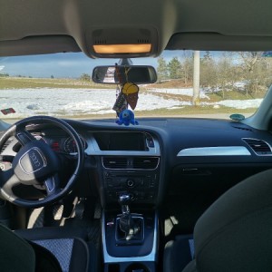 Audi a4 2.0 tdi