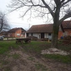 kuca