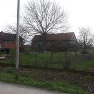 kuca