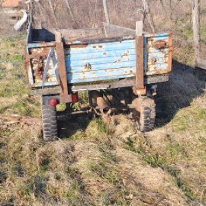 Kola