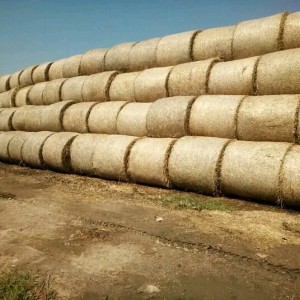 Slama kocke rolo bale psenica kukuruz ?