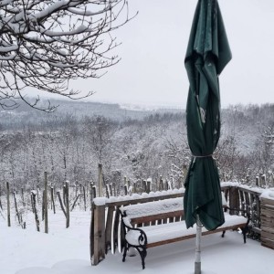 Vikend kuća