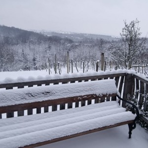 Vikend kuća
