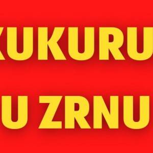 Kukuruz u zrnu