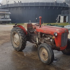 Imt 533