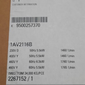 Elektro motor(novi)