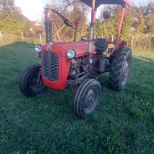 IMT 539