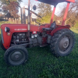 IMT 539