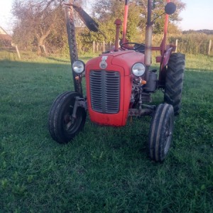 IMT 539