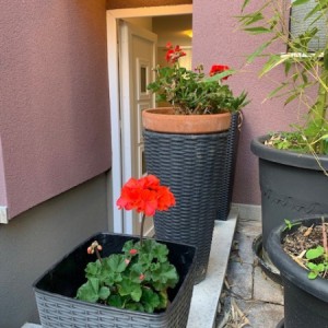 studio apartman za najam