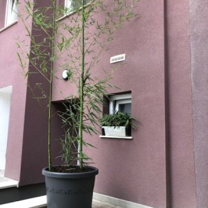 studio apartman za najam