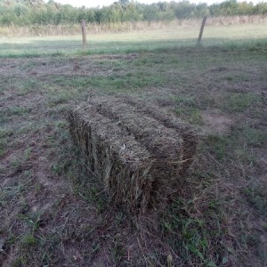 Prodajem balirku claas markant 50
