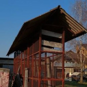 Kukuružnjak