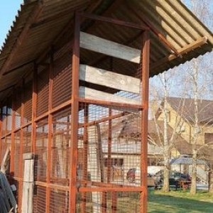 Kukuružnjak