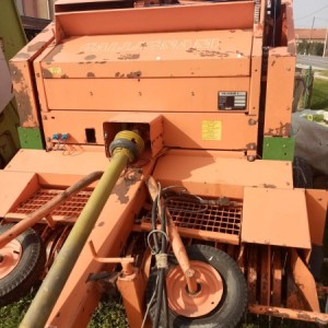 Rolobalirka Gallignani RB22