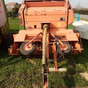 Rolobalirka Gallignani RB22