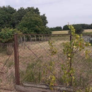 Đurđevac - prodajem kuću