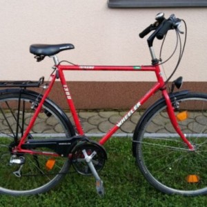 Muski bicikl marke Wheeler Treking 1300 21Brzina Gume 700x38