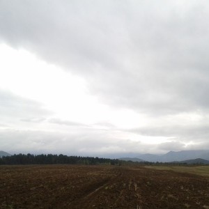 Prodajem poljoprivredno zemljište