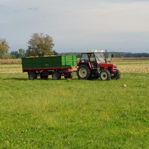 Zetor 3340 izvozni model,13200e