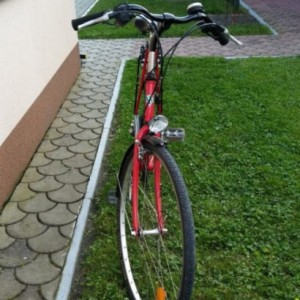 Muski bicikl marke Wheeler Treking 1300 21Brzina Gume 700x38