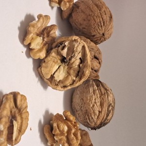 Domaći orahi