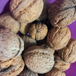 Domaći orahi