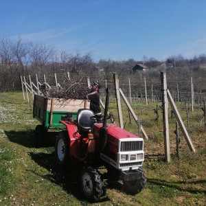 Yanmar f14d