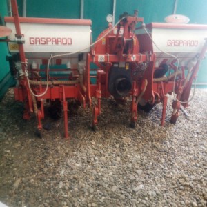 Gaspardo Sijacica