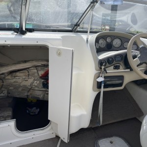 Glastron 209 GS