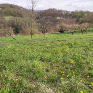 Oroslavje, Andraševec - Građevinsko zemljište 4.086 m2