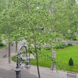 Stan: Zagreb - Zrinjevac (Donji grad), 148.00 m2 (prodaja)