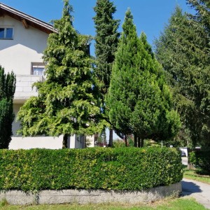 VARAŽDIN - KATNICA, BLIZINA CENTRA