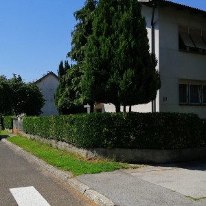 VARAŽDIN, KATNICA ŠIRI CENTAR 235.m2